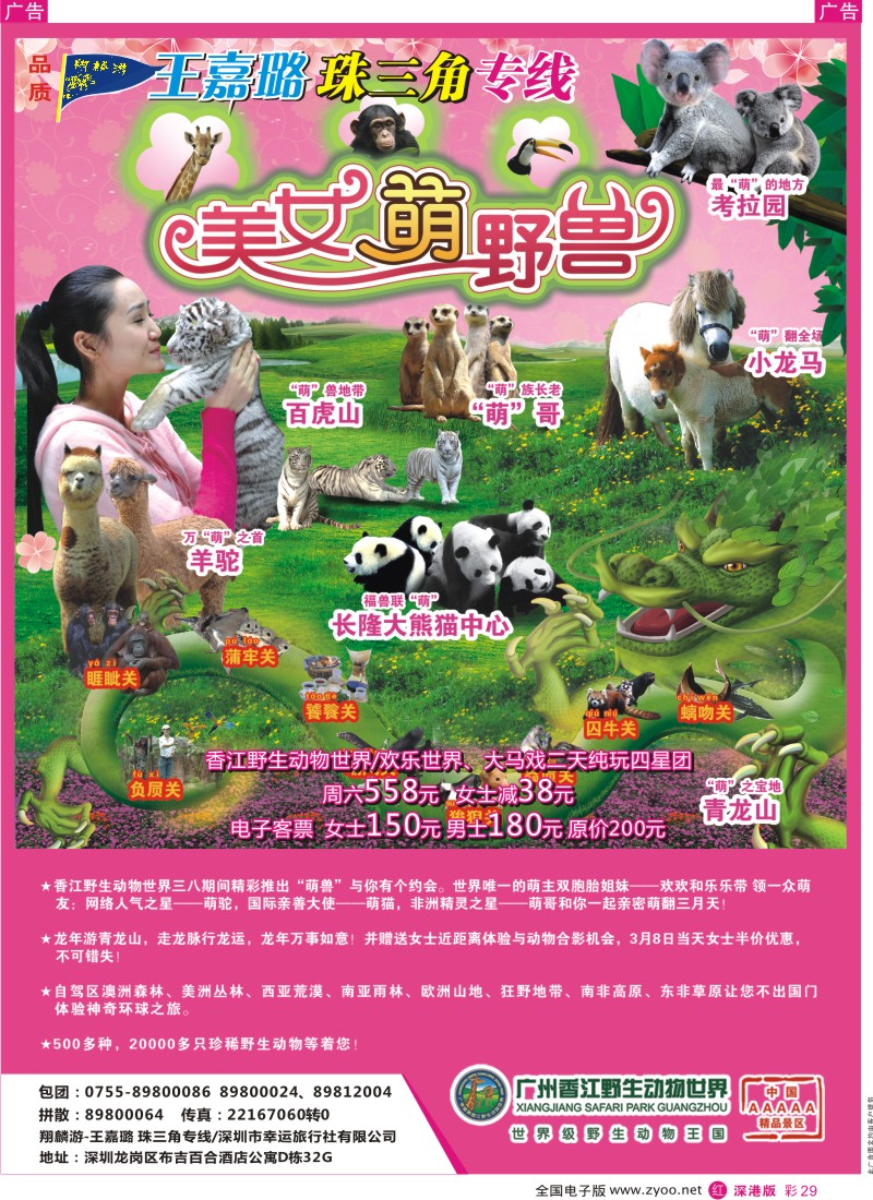 r彩029  香江野生动物世界（翔麟游-王嘉璐