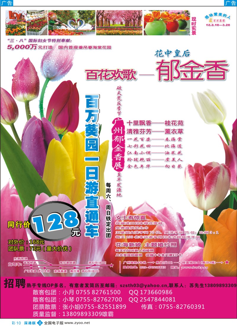 b彩010  四海假期-百万葵园纯玩1日游直通车（特价！！！）  彩10