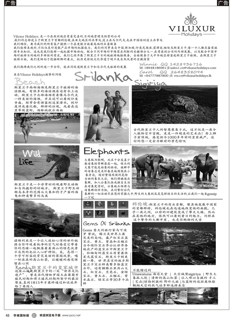 r黑048  情定斯里兰卡