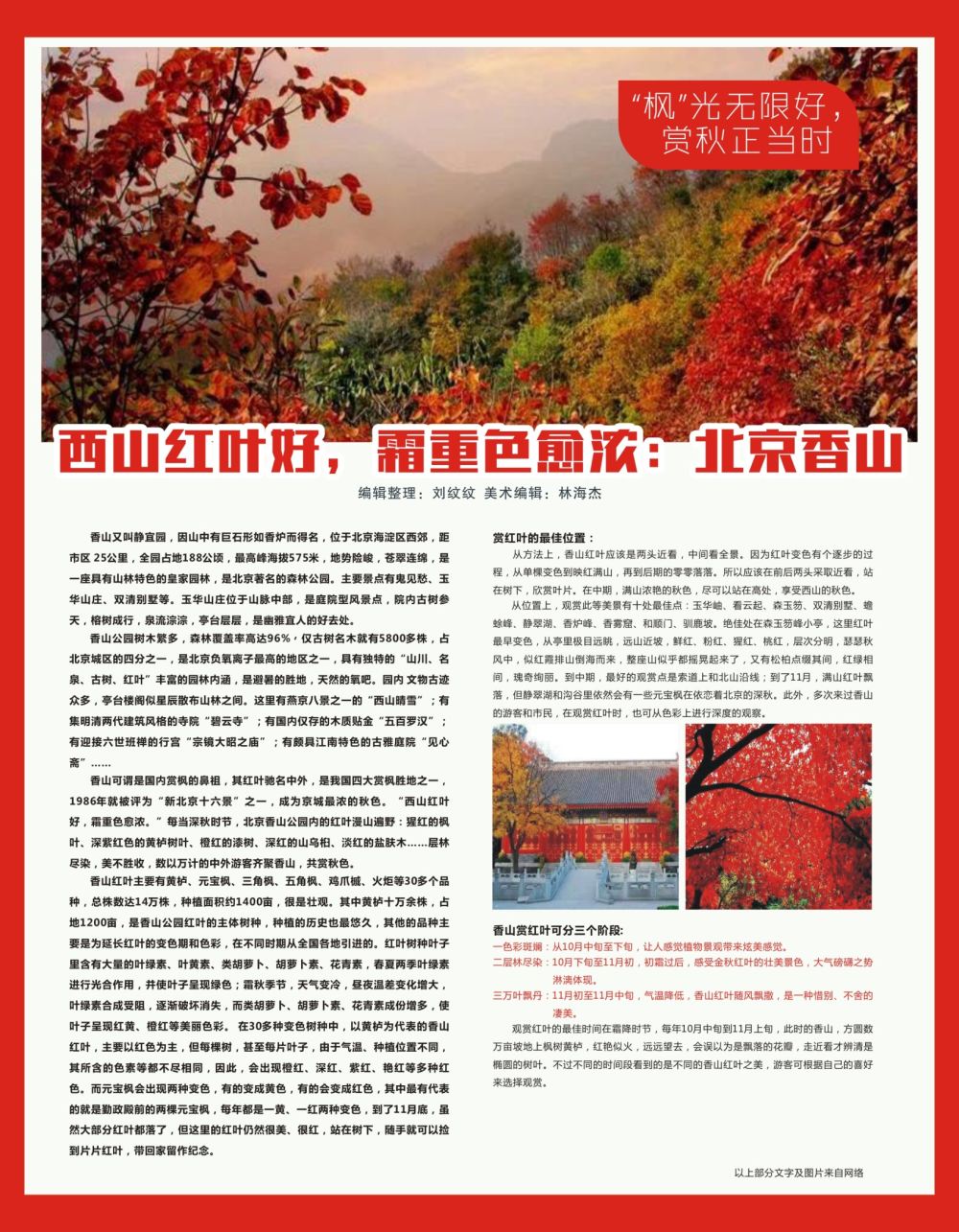 r红彩07 西山红叶好，霜重色愈浓：北京香山