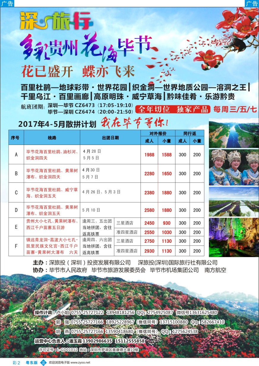 b彩002  深旅投-多彩贵州  花海毕节