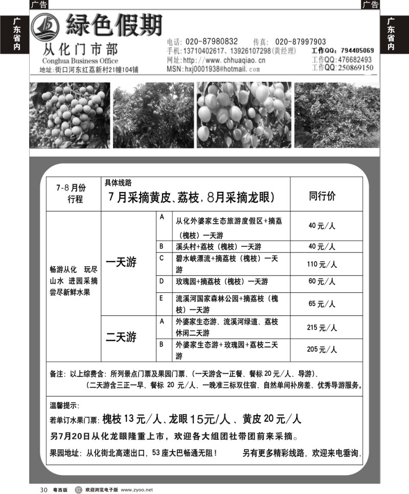 r30  从化绿色假期——荔枝、龙眼、黄皮专线