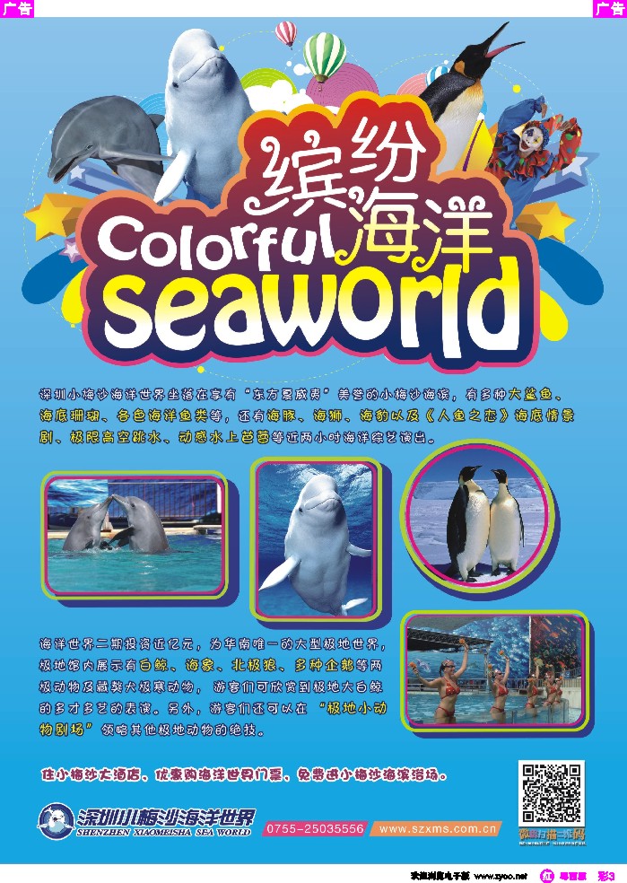 r彩3 深圳小梅沙
