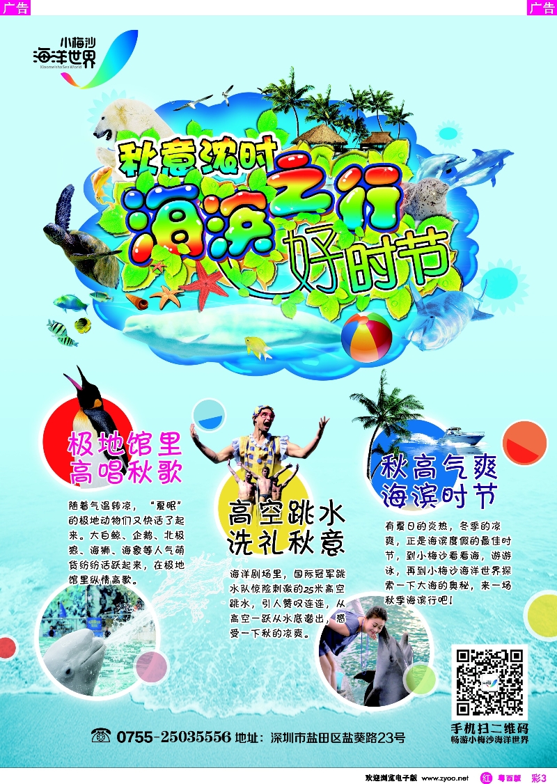 r彩3 深圳小梅沙海洋世界