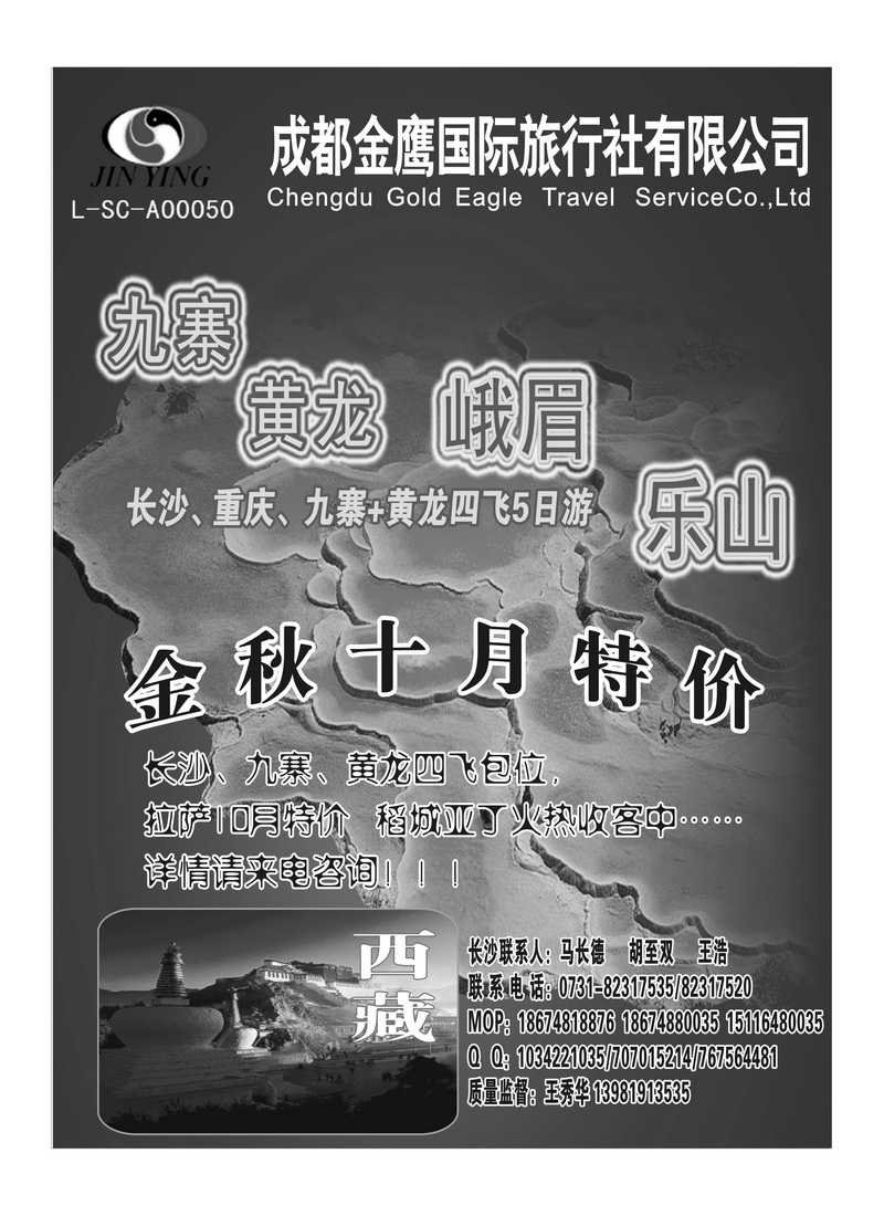B27成都金鹰