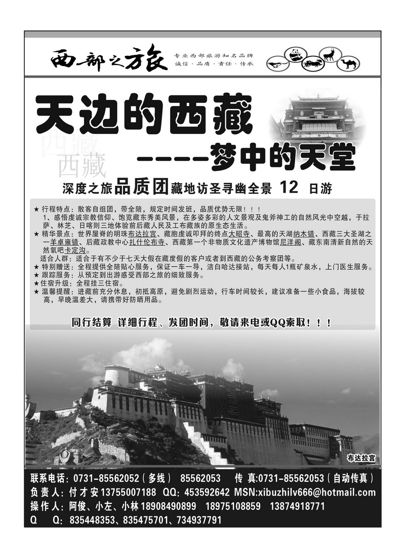 B36西部之旅付才安