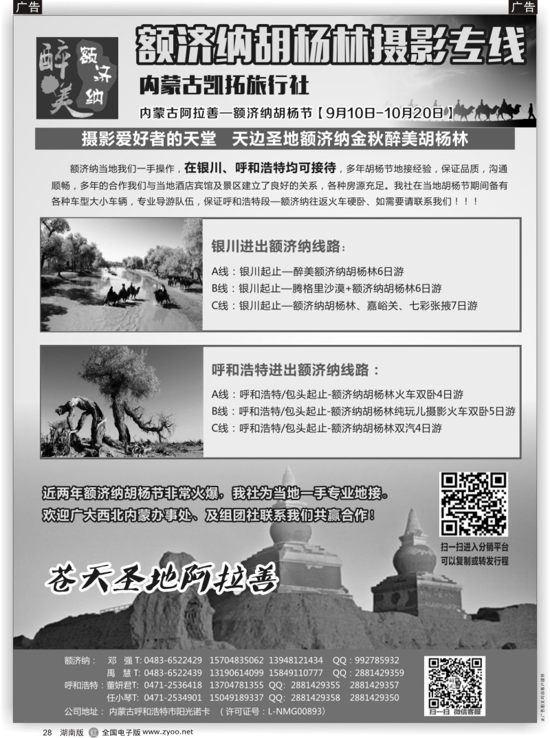 黑28额济纳胡杨林专线