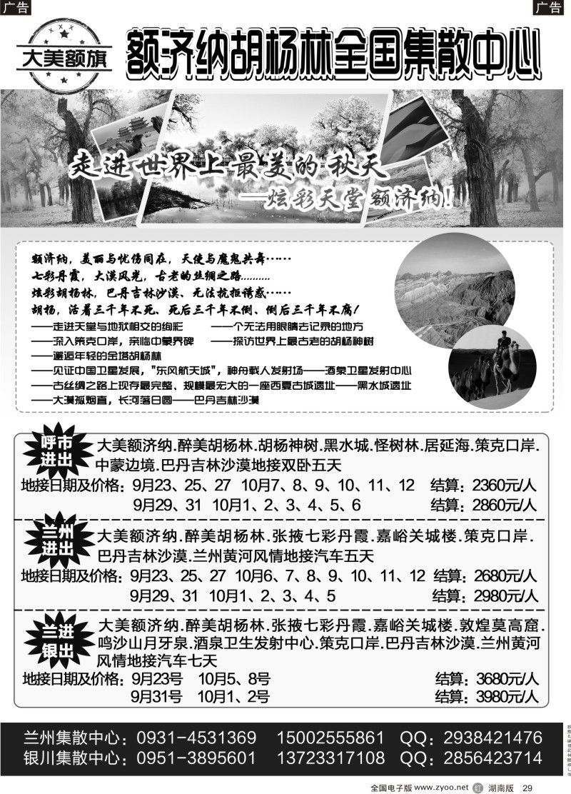 黑29额济纳胡杨林全国集散中心
