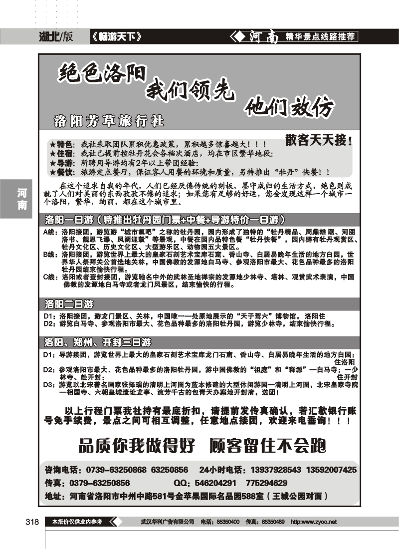 318绝色洛阳