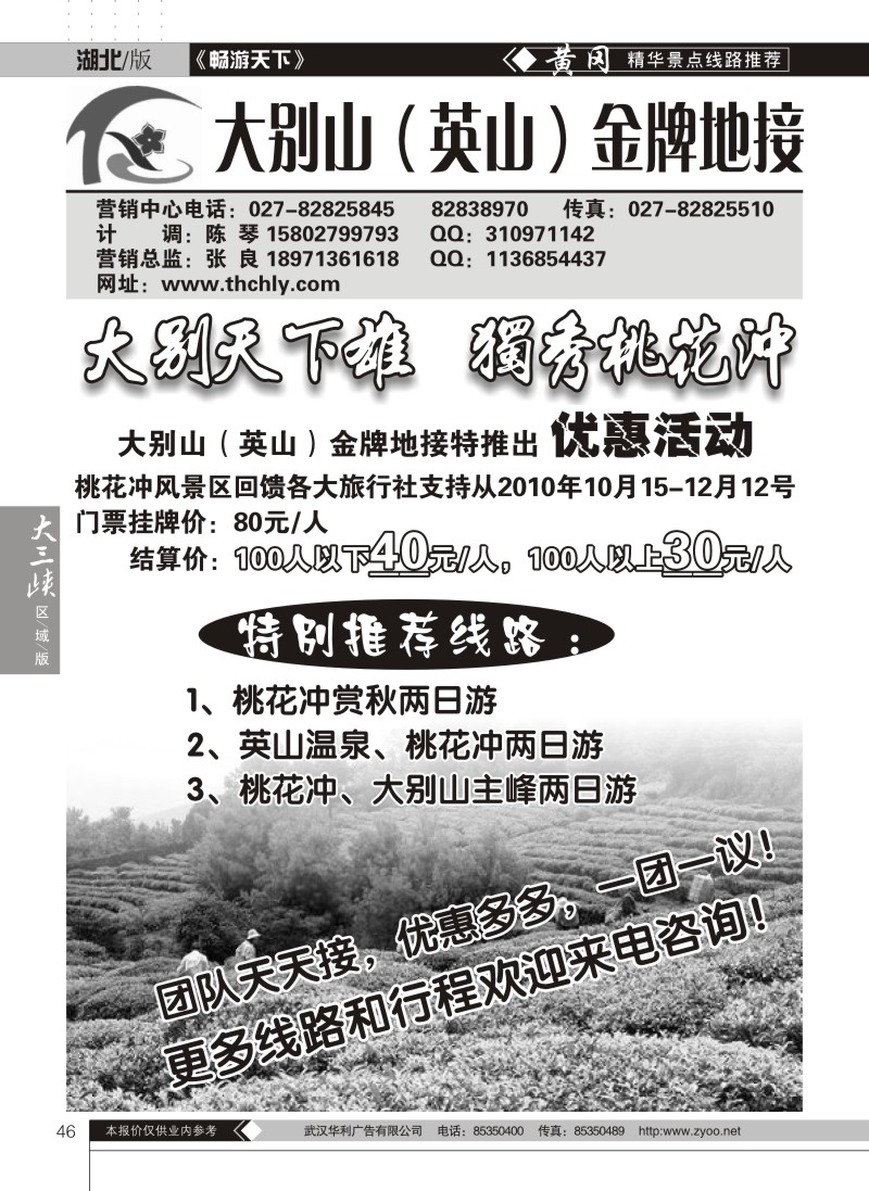 46大别山英山金牌地接