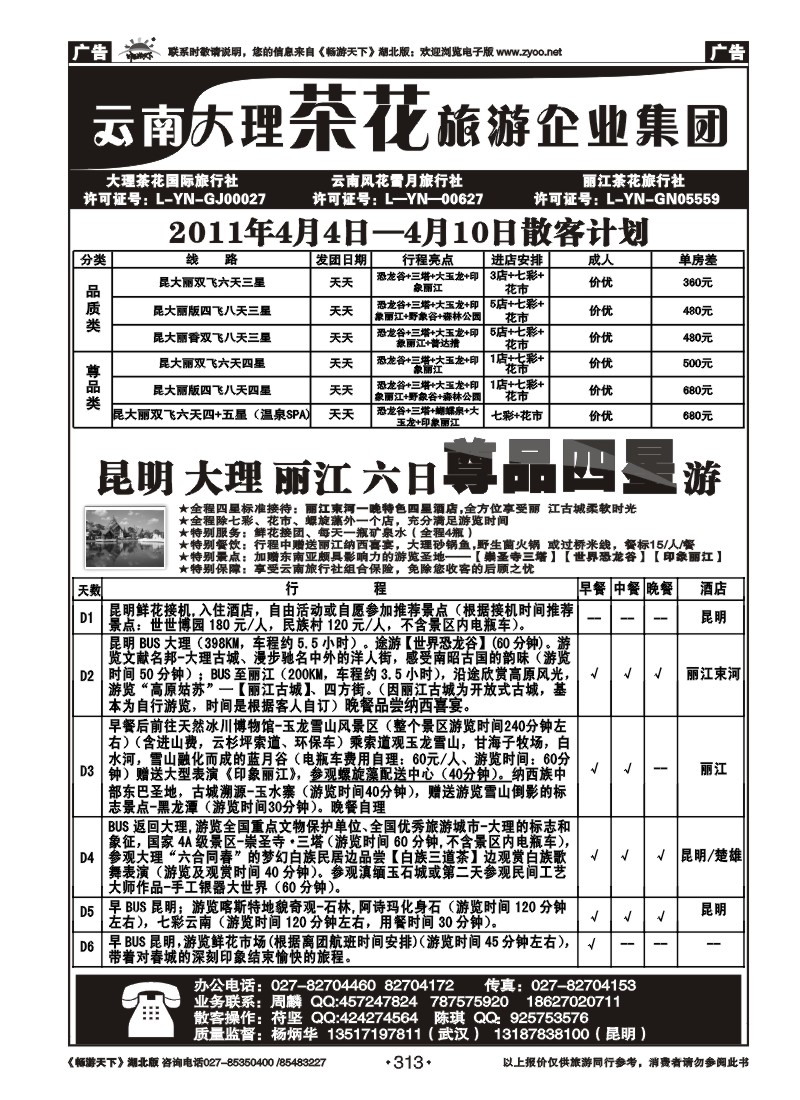 313云南大理茶花旅游