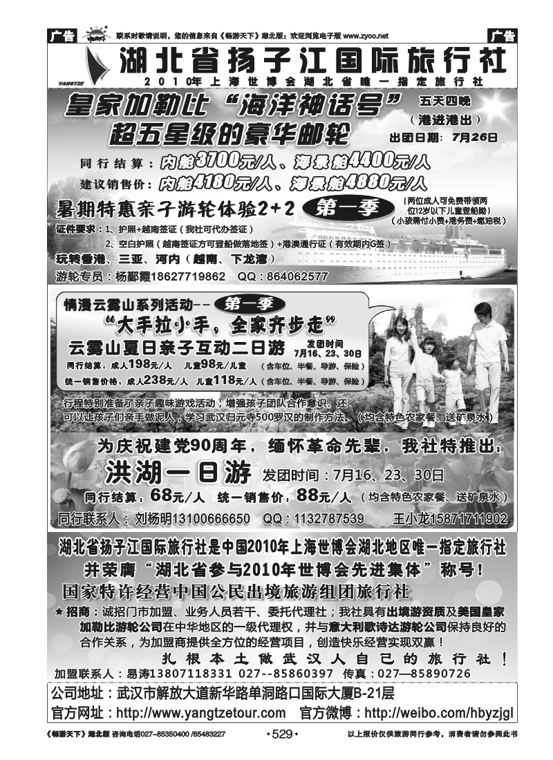 529湖北省扬子江国际旅行社公司