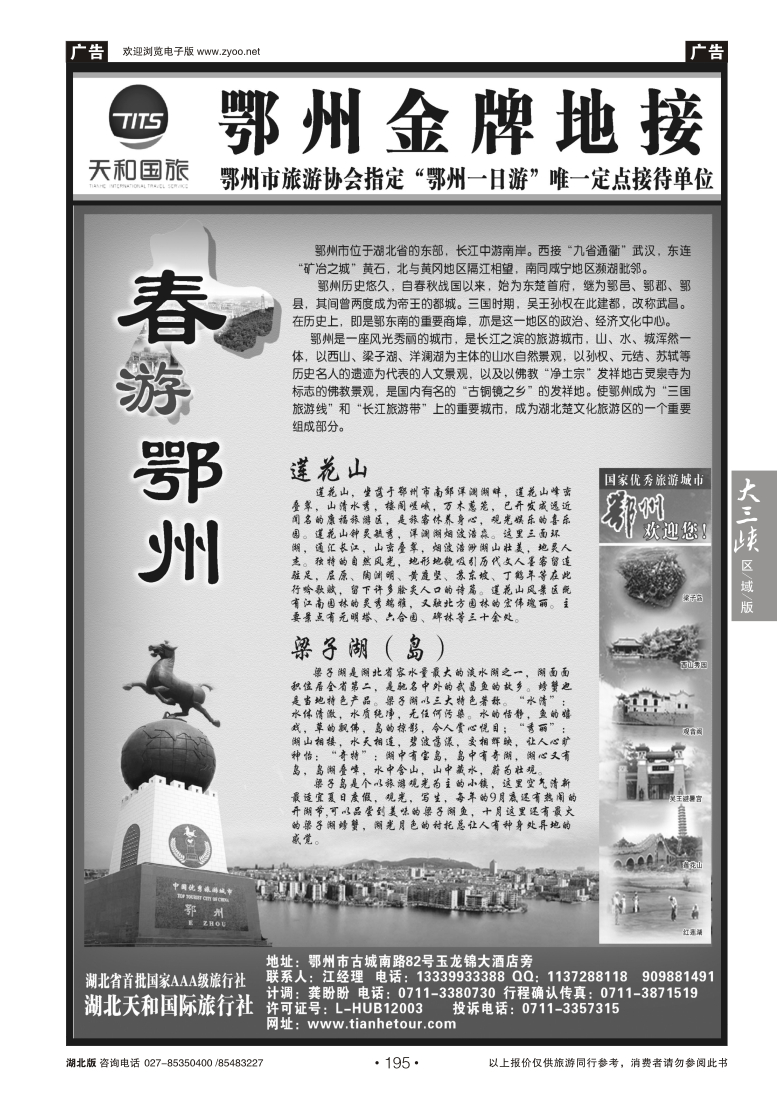 195湖北天和国际旅行社