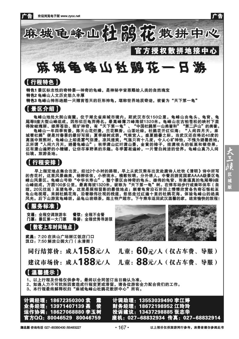 167麻城龟峰山杜鹃花散拼中心