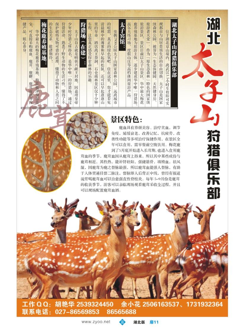 b011扉：湖北太子山国际狩猎俱乐部