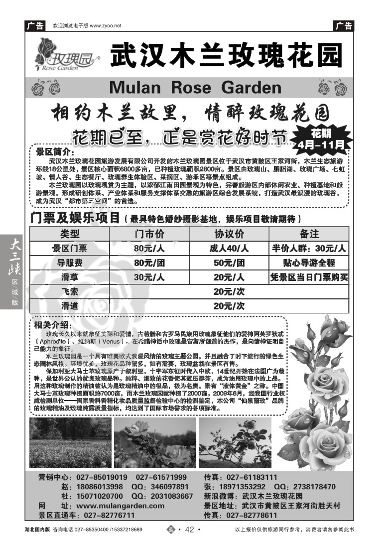 525ZLN042木兰玫瑰花园