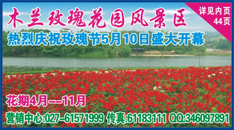 528ZLF006木兰玫瑰花园