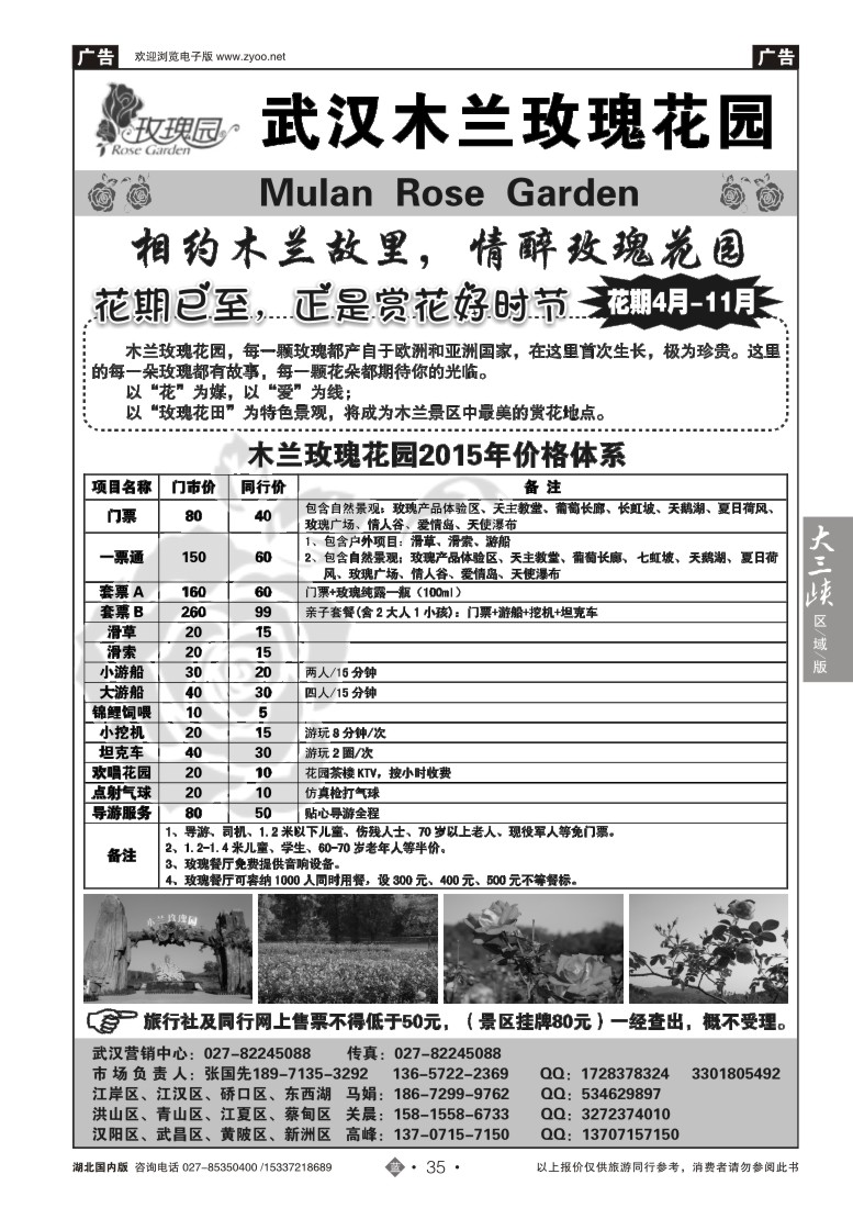 542ZLN035木兰玫瑰花园
