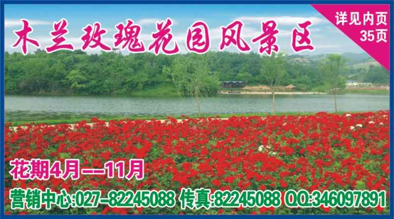 542ZLF005木兰玫瑰花园