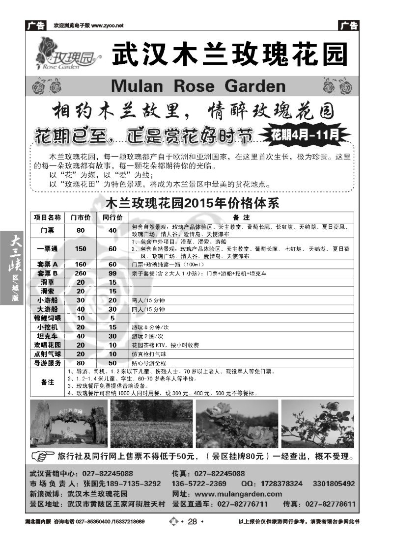 545ZLN028木兰玫瑰花园