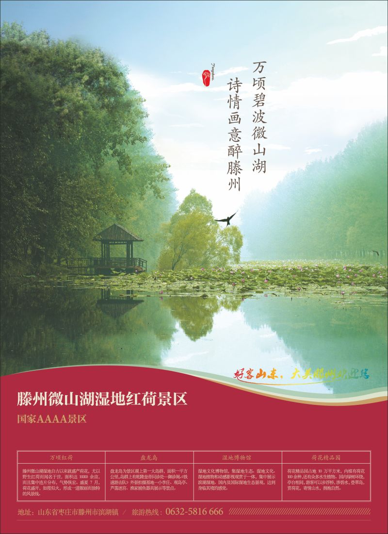山东省滕州市微山湖湿地红荷风景区