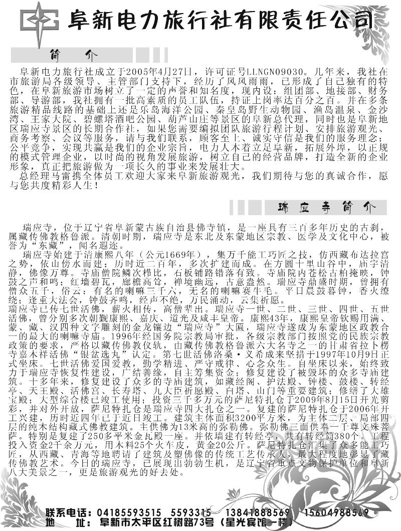 阜新电力