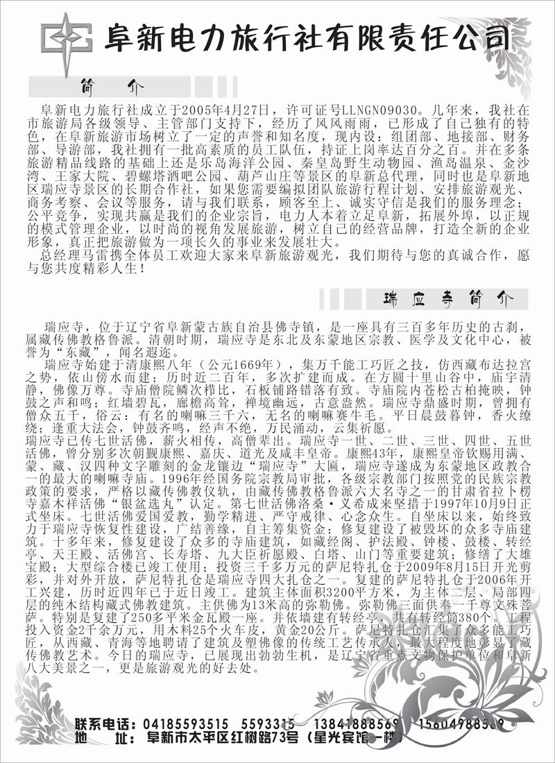 阜新电力
