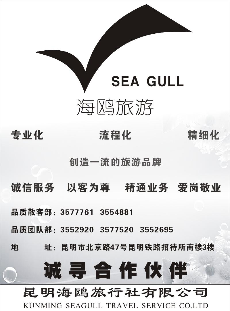 海鸥旅行社有限公司 形象宣传1