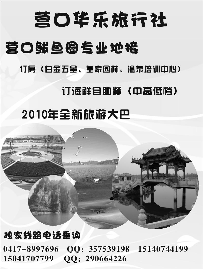 a-91营口鲅鱼圈华乐旅行社