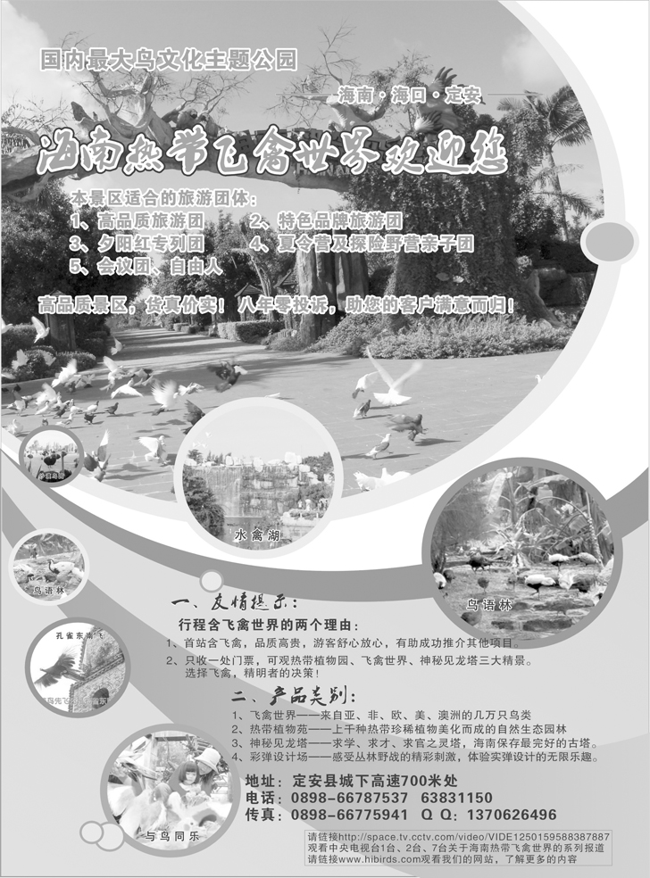 b-22海南热带飞禽世界(广西版+东北版+山西版)