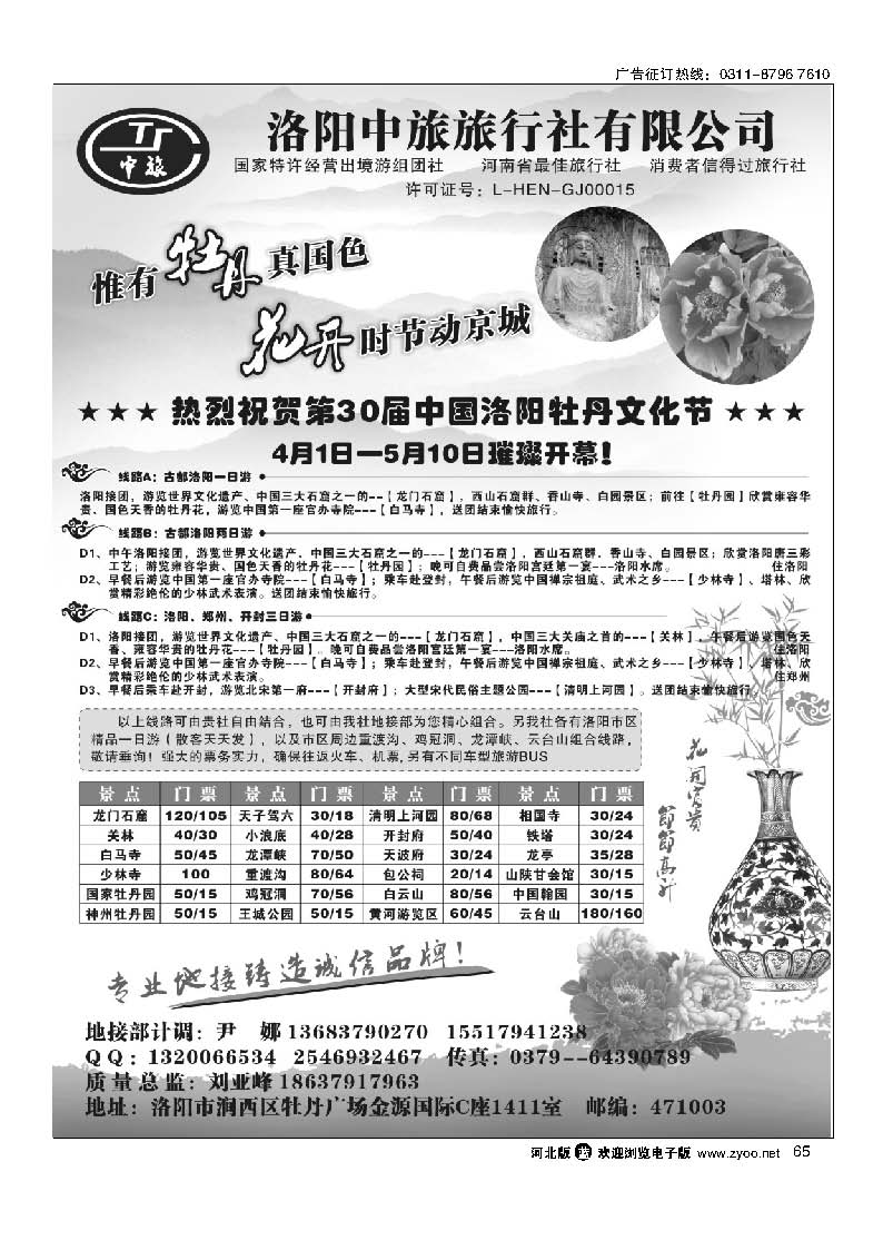 牡丹花主--洛阳牡丹文化节专业地接65