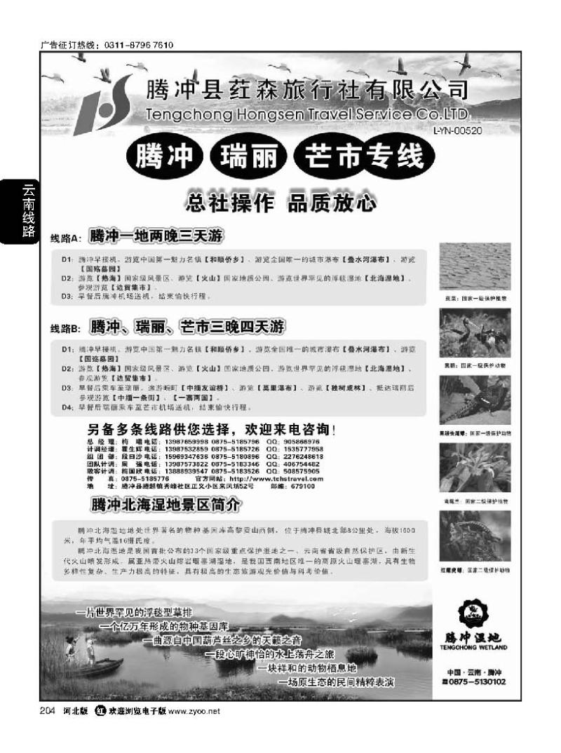 204 云南腾冲荭森旅行社-腾冲、瑞丽、芒市专线