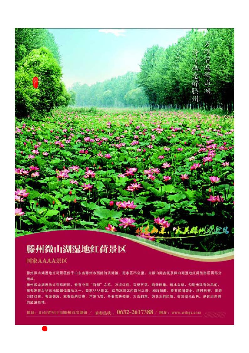 彩24 山东省滕州市微山湖湿地红荷风景区