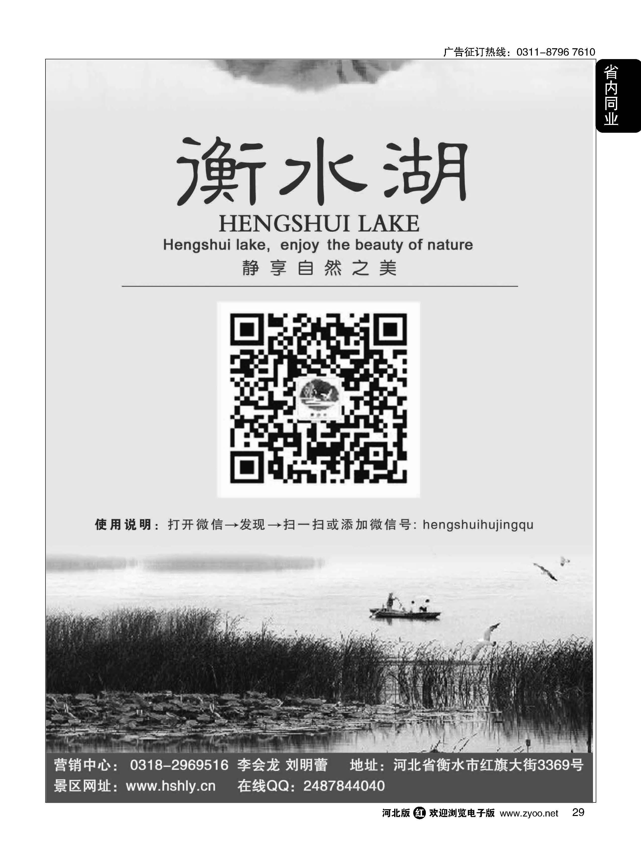 29 衡水湖静享自然之美 
