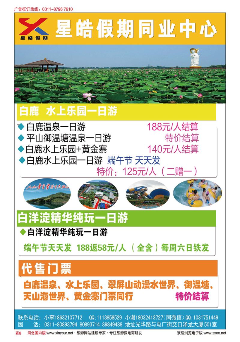 彩8 星皓假期白鹿直通车
