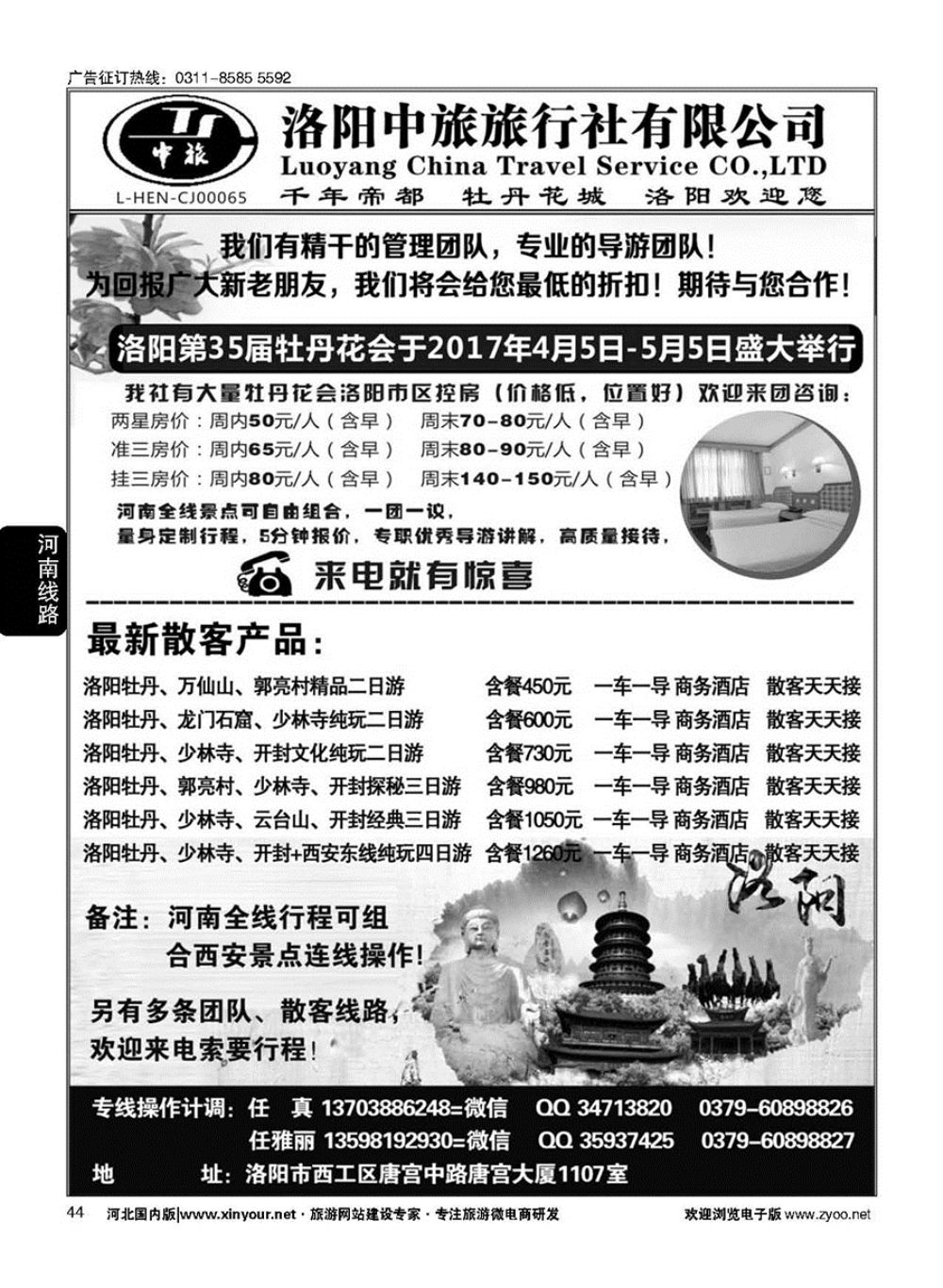 44 专业河南地接-洛阳中旅（任真）