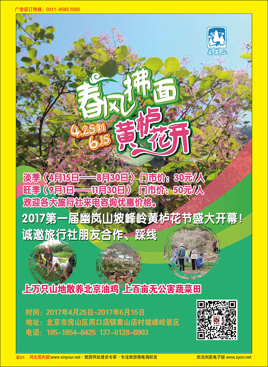 彩24 坡峰岭景区黄栌花节盛大开幕