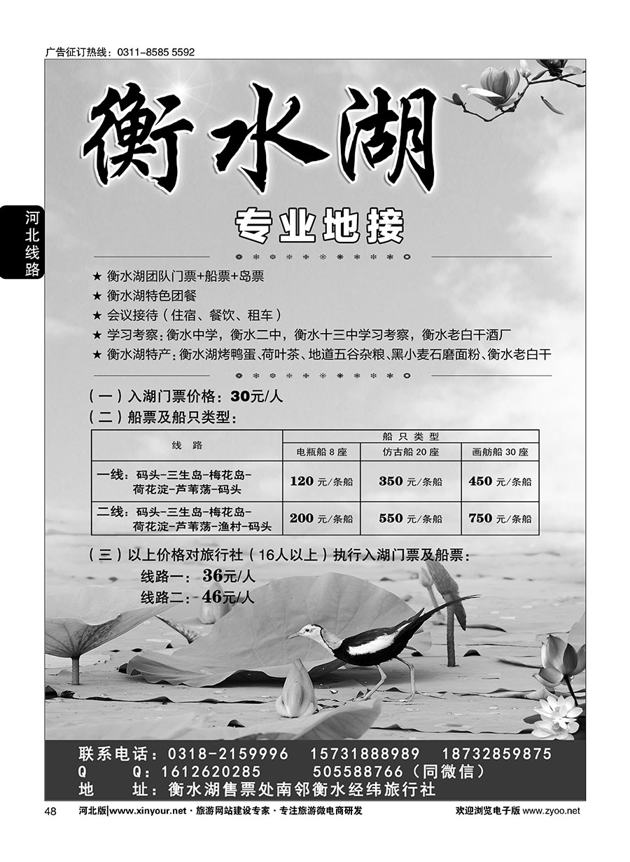 48 衡水经纬旅行社·衡水湖直通车