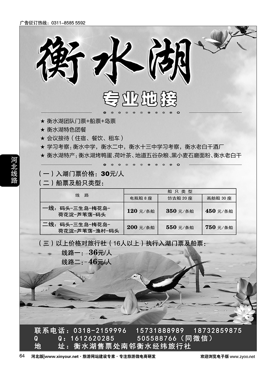 64 衡水经纬旅行社·衡水湖直通车