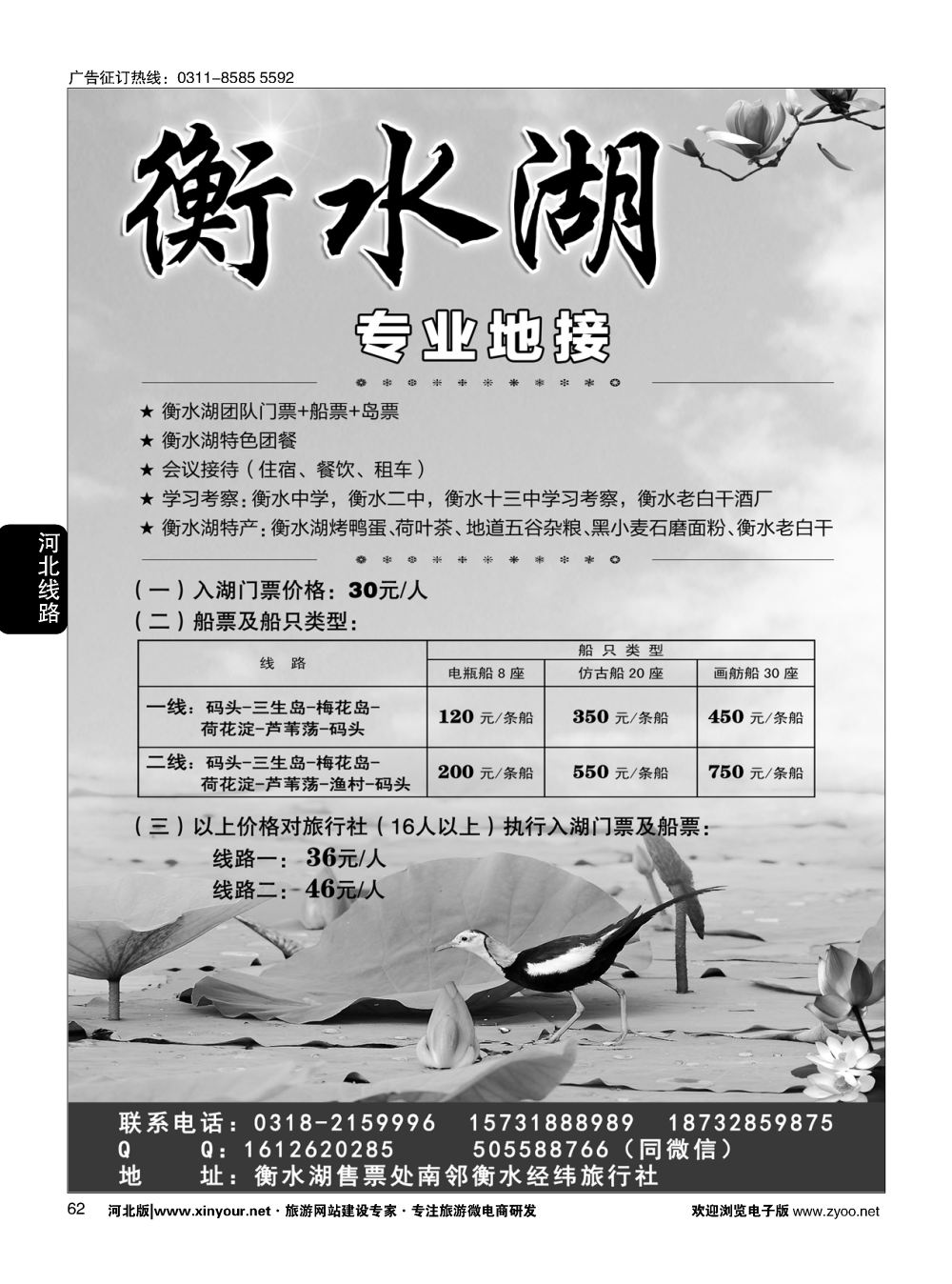 62 衡水经纬旅行社·衡水湖直通车