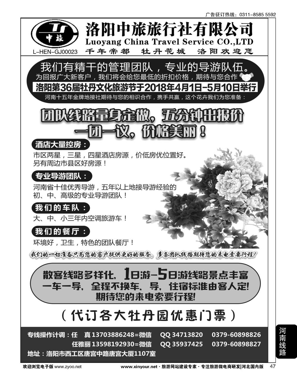 47 河南金牌地接-洛阳中旅（任真）