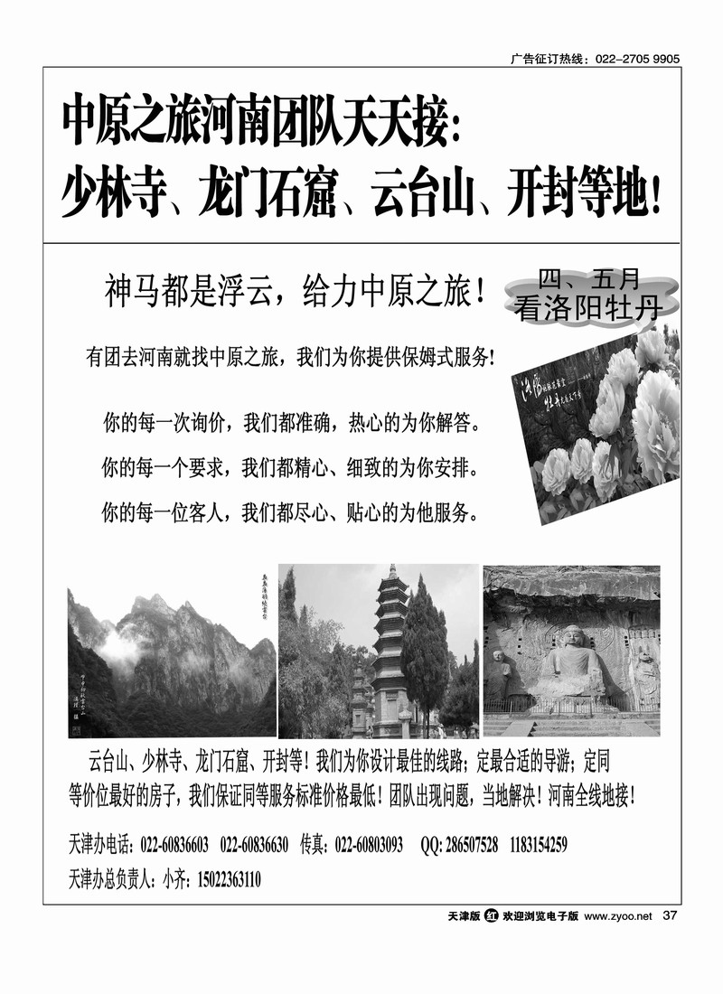 洛阳牡丹河南全线地接团队地接