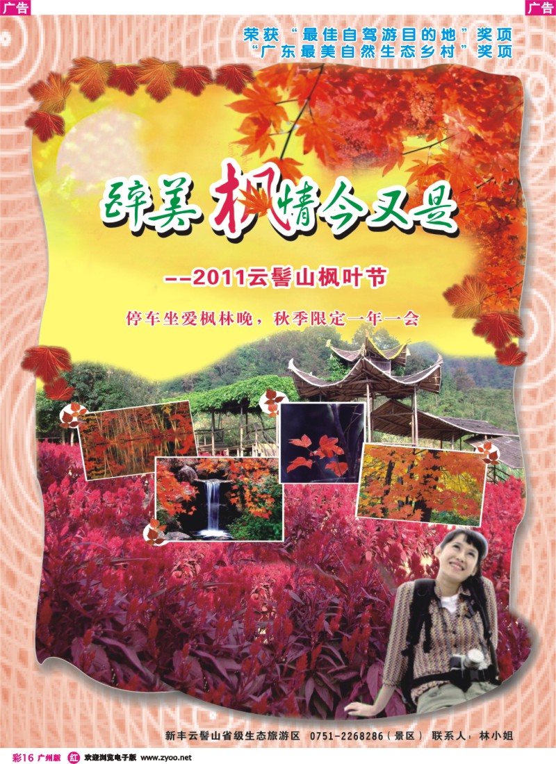 彩r016 云髻山枫叶节