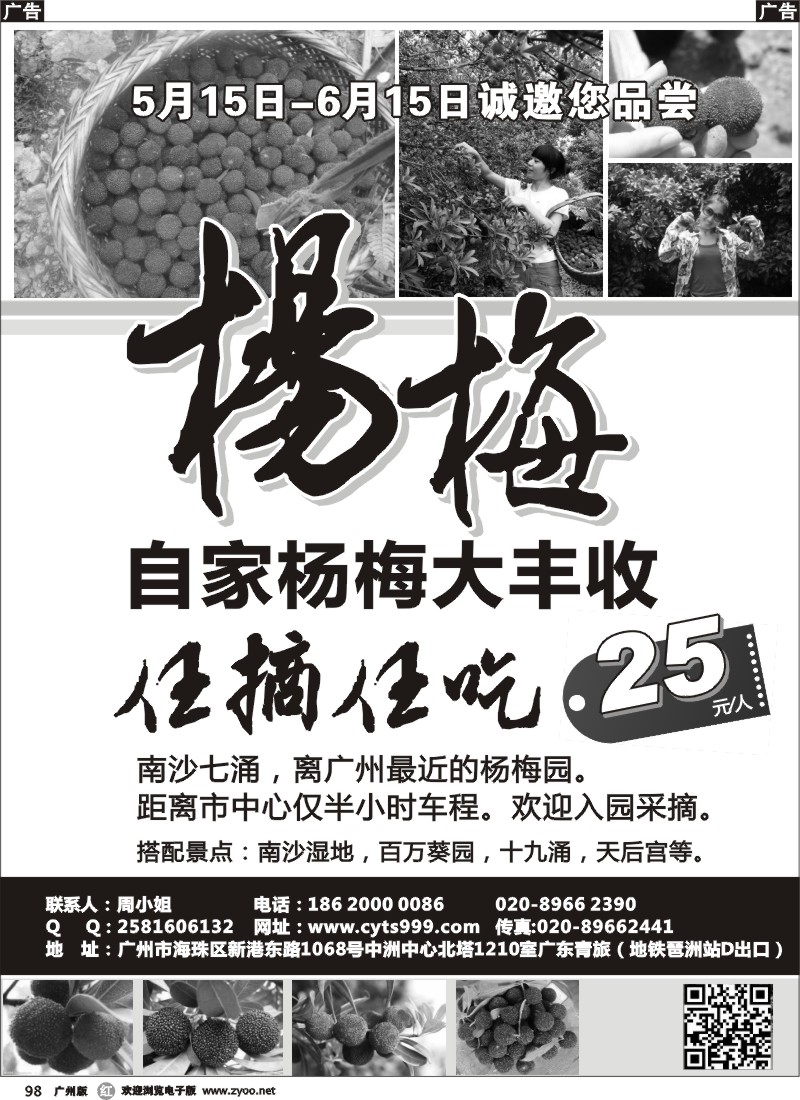 r098 自家杨梅大丰收