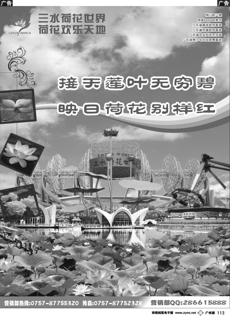 b113 佛山三水荷花世界