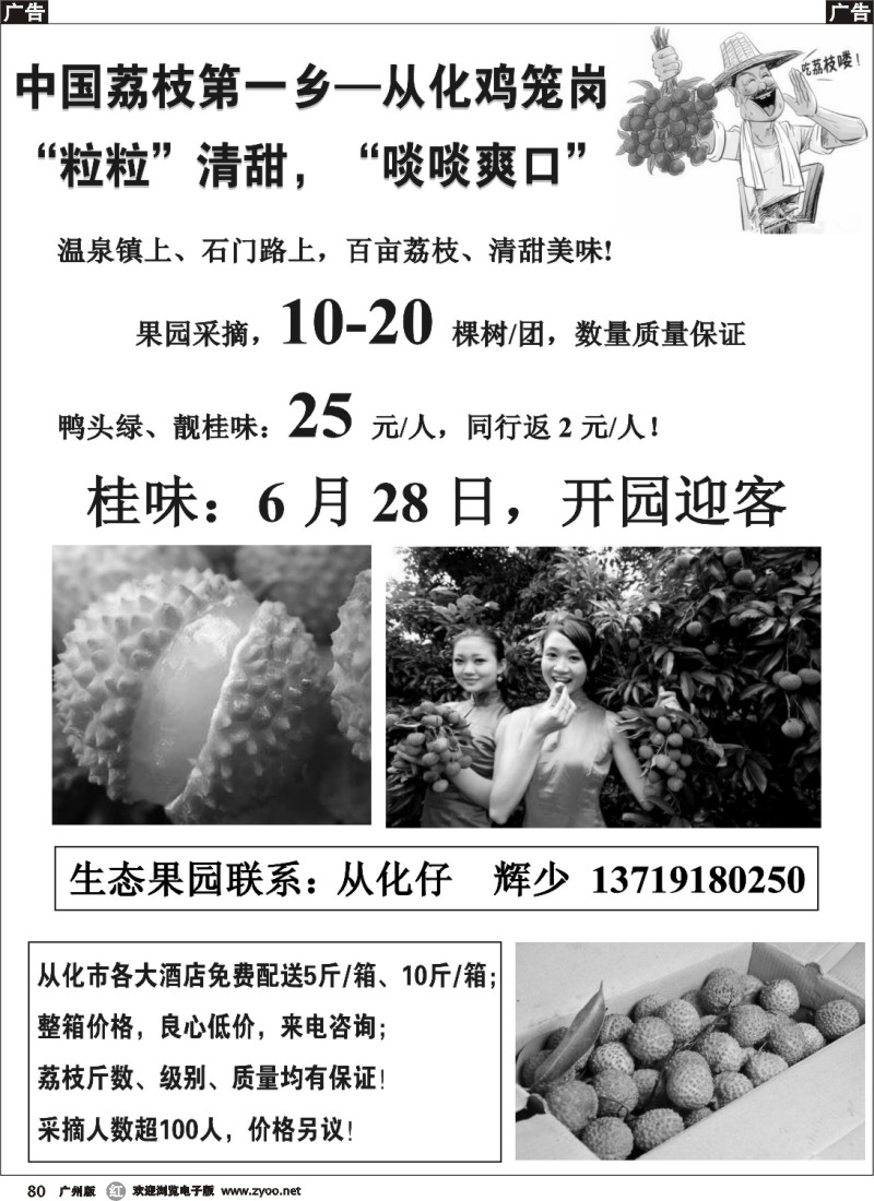 r080 从化新鲜荔枝采摘