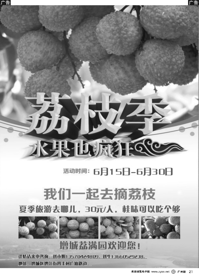 r021 增城摘荔枝--荔满园欢迎您_1