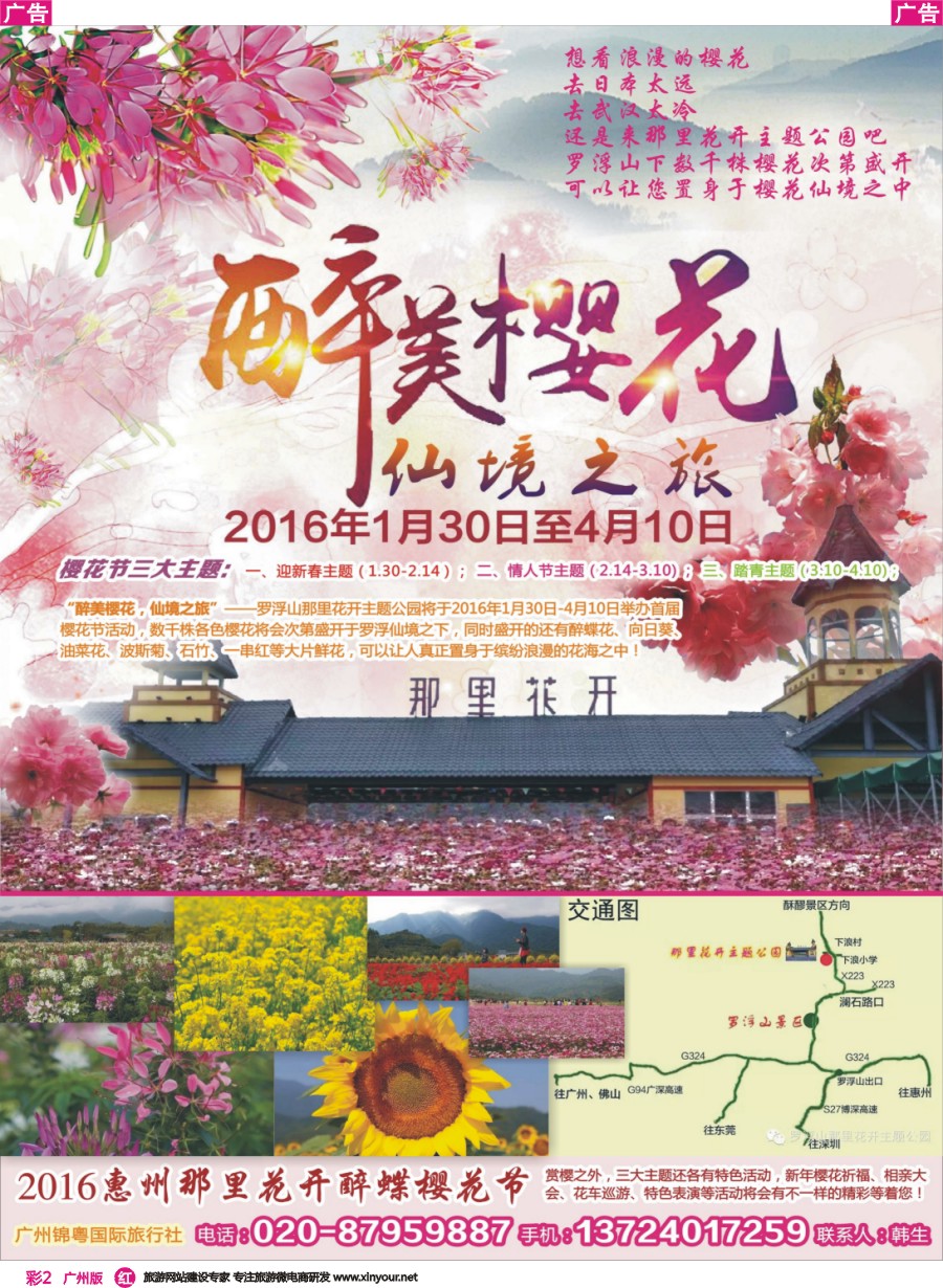 彩r002 醉美樱花-2016惠州那里花开醉蝶樱花节