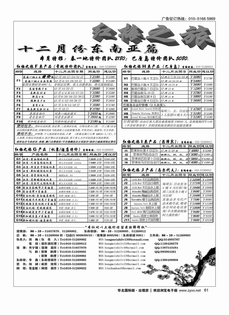 红梅之旅61