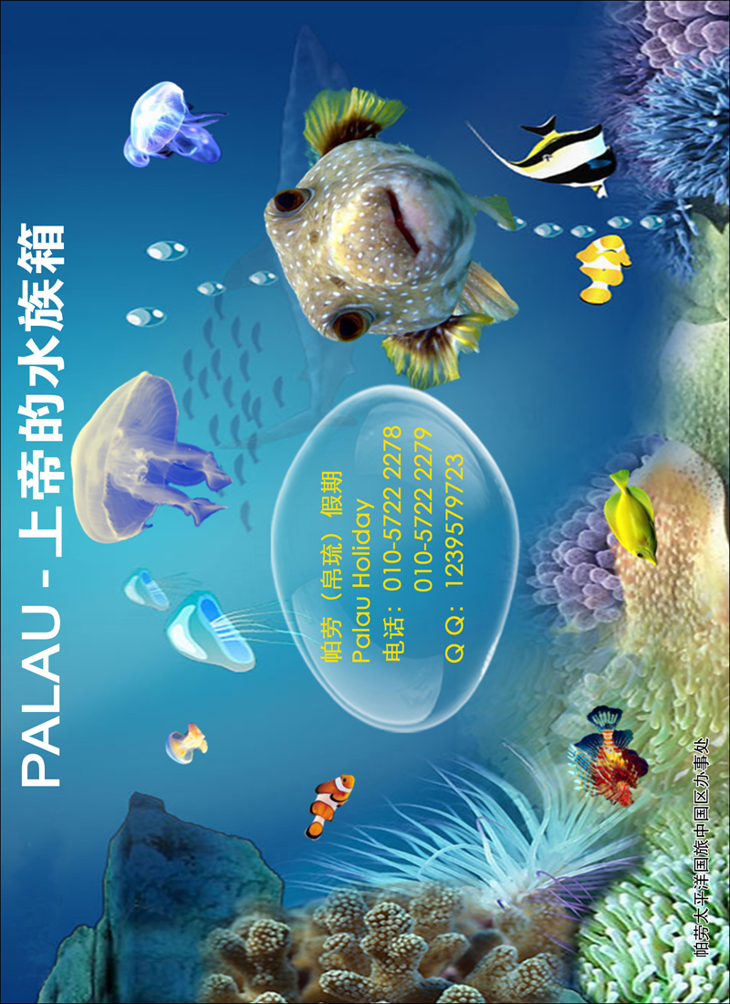 彩112帕劳(帛琉)假期